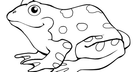 58+ Gambar Sketsa Hewan Katak, Koleksi Cemerlang!