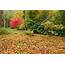 Autumn Woodland Colors High Weald Kent  UK Landscape Photography