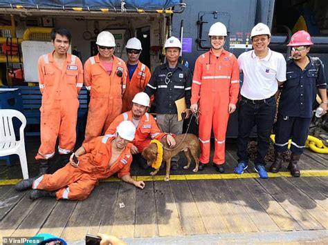 Gulf Of Thailand Dog Rescued By Oil Rig Worker After Its