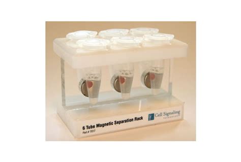 6 Tube Magnetic Separation Rack Cell Signaling Technology