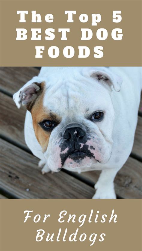 Above ratings are based on our experience with the product and/or expert opinions. Top 5 Best Dog Food For English Bulldogs You Never Knew ...