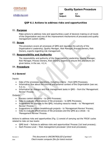 Qsp 61 Actions To Address Risks And Opportunities Preview