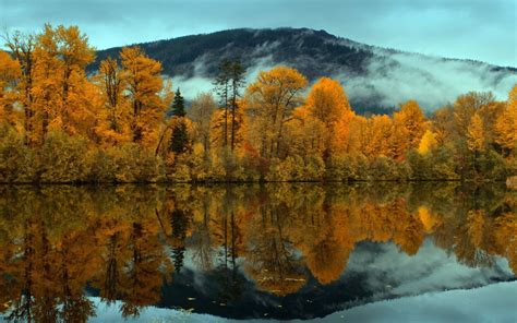 Bing Fall Wallpaper Autumn Fall Tree Forest Landscape