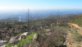 Es gibt auch viele international ausgezeichnete golfplätze, wo wir die entspannung mit etwas sportlicher betätigung verbinden können. Wandern nach Caldas de Monchique | Algarve Blog