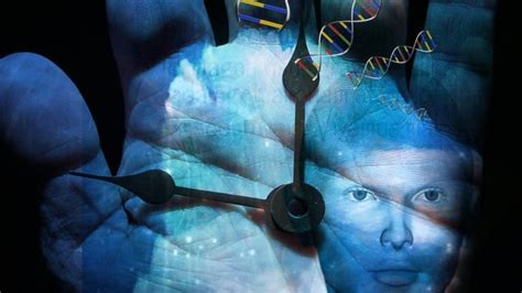 Epigenetic Aging Clocks How To Learn Your True Biological Age