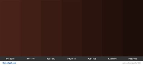 Brown Shades Colours 482218 411f16 3a1b13 Colorswall