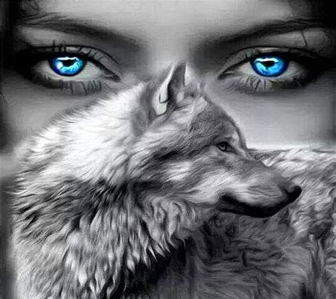 Blue Wolf Eyes Wallpapers Top Free Blue Wolf Eyes Backgrounds