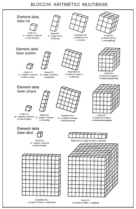 Una serie di programmi (esercizi) in c++ completi di teoria, codice sorgente ed eseguibile Immagine correlata | Infographic, Math, Words