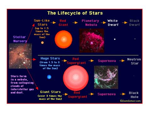 A white dwarf is very small, hot star, the last stage in the life cycle of a star like the sun. Life Cycle Of Stars Diagram