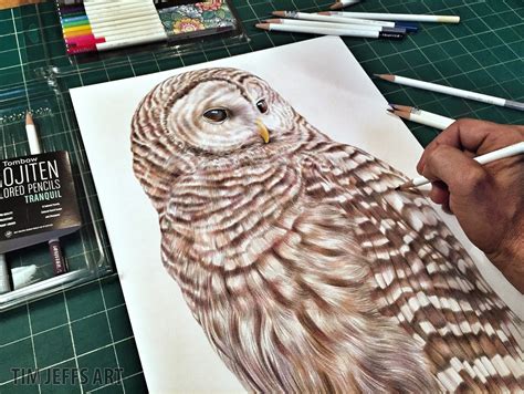 Color dino drawing inverted owl pencil tomic. Tim Jeffs Art