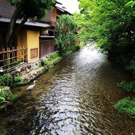Gion Shirakawa Gion Shirakawa Is Located Right Next To A Stream