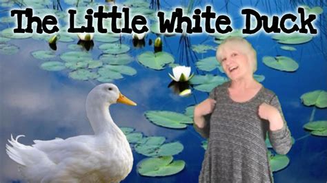 Little White Duck Classic Childrens Folk Song For Preschool And