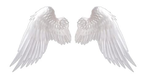 Realistic Angel Wings Svg