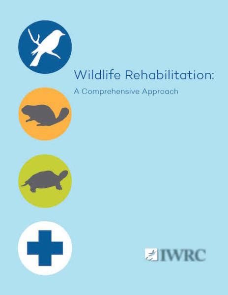 Wildlife Rehabilitation A Comprehensive Approach International