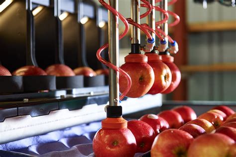 Yummy Fruits Produce Packing Robot Reaches 20m Apples Milestone