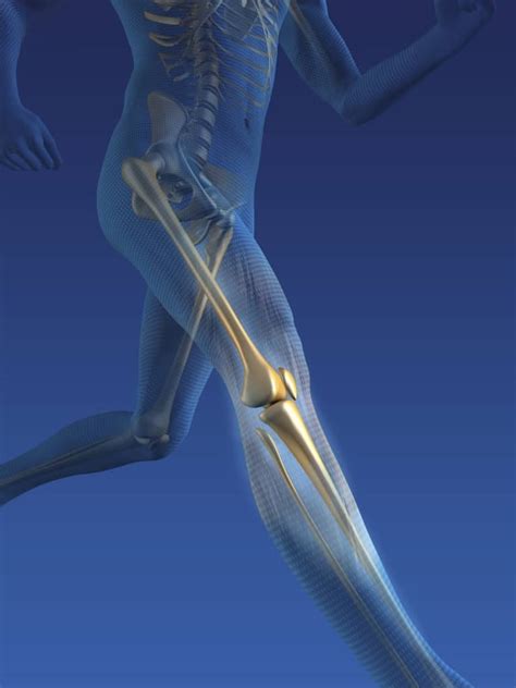 A Knee Injury Causes Treatment And Recovery Time Brandon Orthopedics