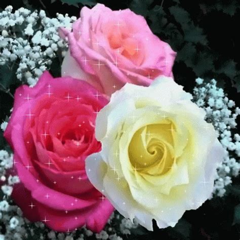 Beautiful love pictures beautiful photos of nature beautiful fantasy art beautiful nature wallpaper beautiful gif beautiful roses nature pictures love heart pics love you gif hd images beautiful flowers picnic hearts memories good morning wishes nighty night loving someone quotes. Roses GIF - Roses - Discover & Share GIFs