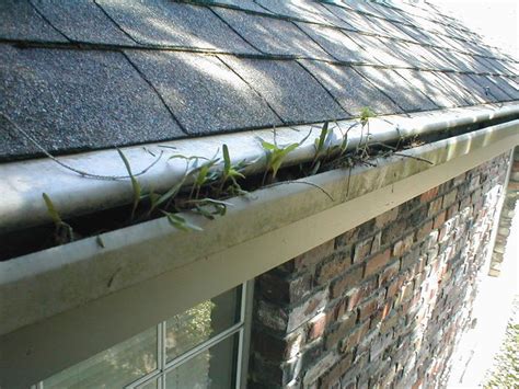 Do any gutter guards really work? Gutter Guard Help | HouseRepairTalk