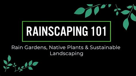 To determine how large to make your rain garden: Rainscaping 101 : How to Create a Rain Garden for ...