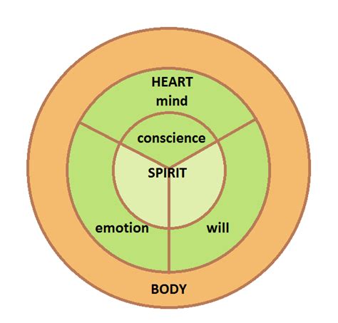 What Is Your Heart According To The Bible And How Can You Exercise It