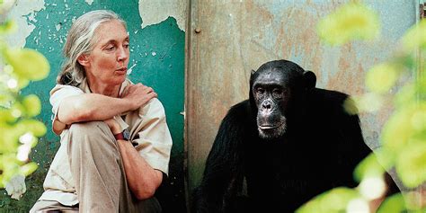 Dr Jane Goodall Interview The Weekend Edition