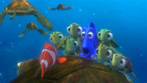 Findet Nemo 3d Die Grüne Meerschildkröte Crush Findet Nemo Disney