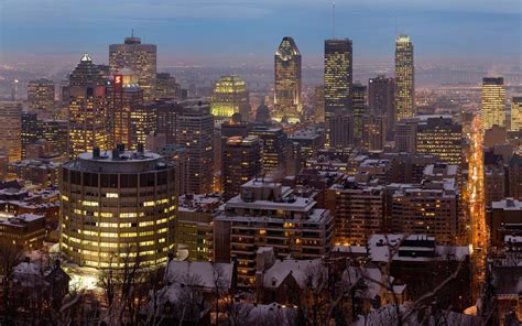 1920x1080 Montreal Canada Winter Trees Snow Coolwallpapersme
