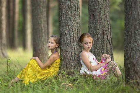 Twee Kleine Leuke Meisjes Die Dichtbij De Boom In De Pijnboom Boszomer