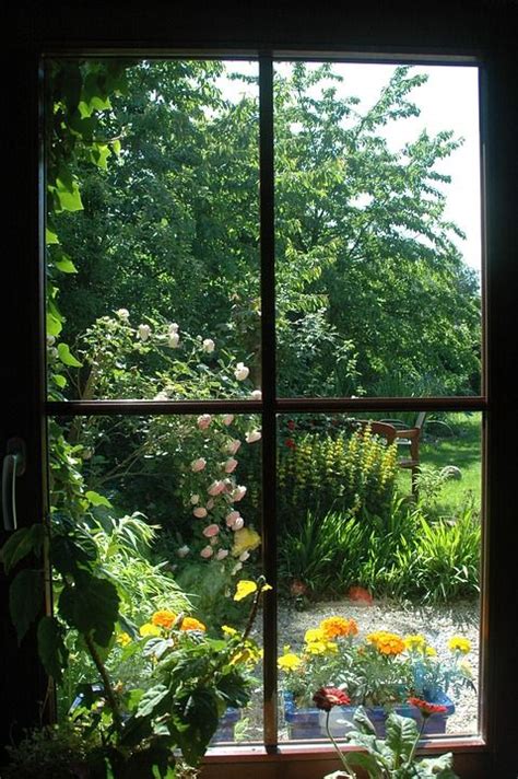 The Most Popular 2018 Garden Trends Whats Hot Now Window View