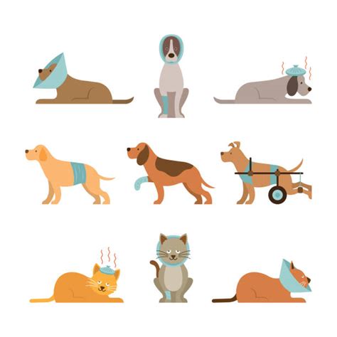 8600 Sick Dog Stock Illustrations Royalty Free Vector Graphics