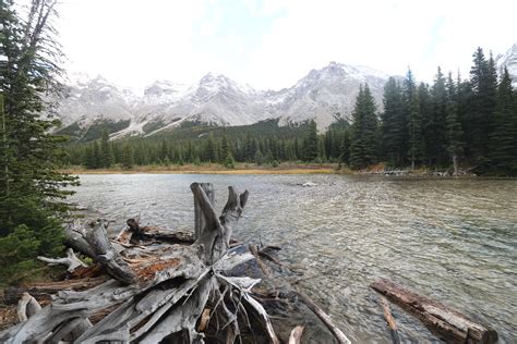 Elbow Lake Kananaskis Alberta Canada Stopped For A Bite To Flickr