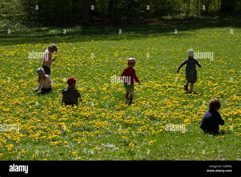 Children Picking Flowers Stock Photo Alamy