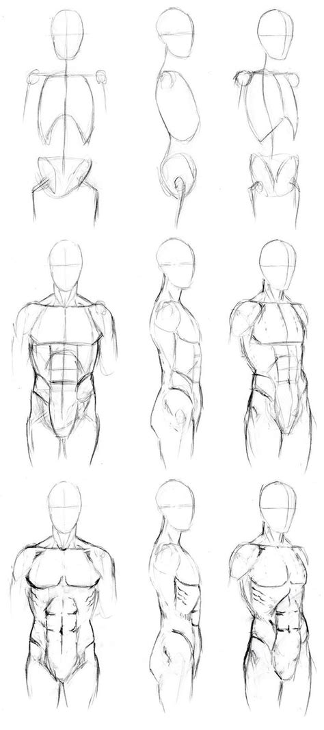 Abs References Anatomy Sketches Body Drawing Body Sketches