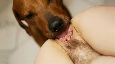 Dog Licks And Tongue Fucking Zoophile Pussy Xxx Femefun