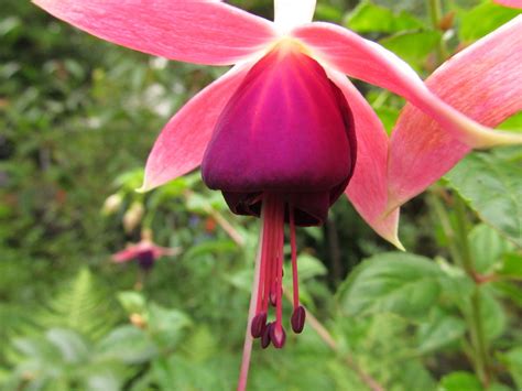 This article lists various colors and their meanings within the secret. A Truly Complete List of Flower Names and Their Meanings ...