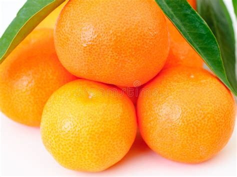 Closeup View On Group Orange Fruits Isolated On White Background Stock