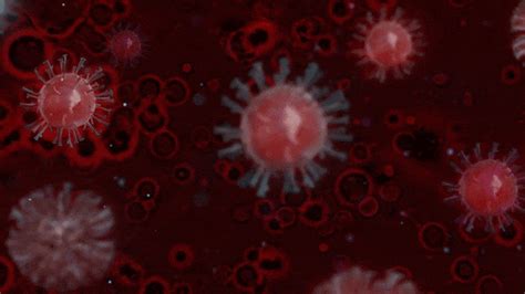 Decoy Receptor Neutralizes Sars Cov 2 Covid 19 Coronavirus In Cell