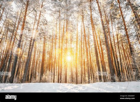 Sunny Sun Sunshine Hi Res Stock Photography And Images Alamy
