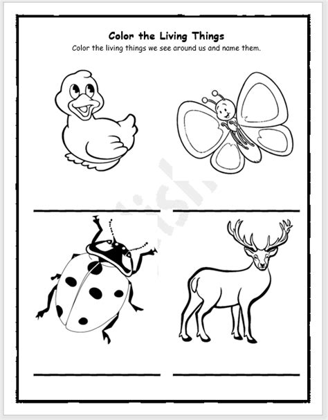 This is one that i mentioned in our classifications. Living Things Coloring Pages for Kids - EnglishBix