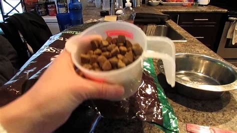 We are going to take a look at the first five ingredients of wellness core cat food. Wellness Core Dog Food Detail Review - YouTube