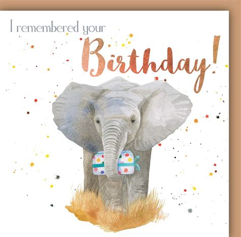 Elephant Birthday Card Uk Office Products