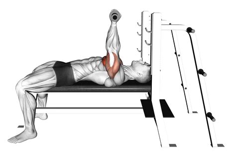 Bench Press Wrist Position The Important Of Neutral Orientation Inspire Us