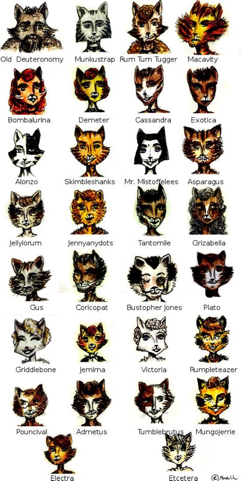 A Guide To The Cats Of Cats The Musical Cats The Musical Costume
