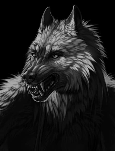 Pin By Um Cara Qualquer On Фурри Shadow Wolf Werewolf Art Wolf Artwork