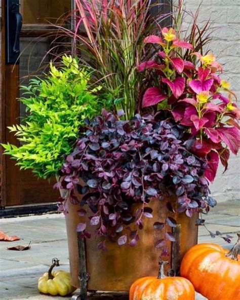 10 Fall Container Garden Ideas