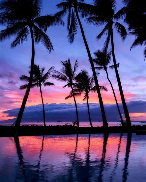 Good Day Sunshine 🎼 Hawaii 2013 Hawaiibeachesaesthetic Palm Tree