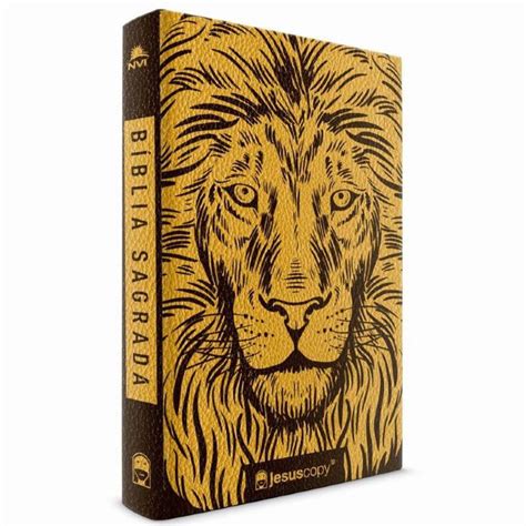 Biblia Sagrada Jesus Copy