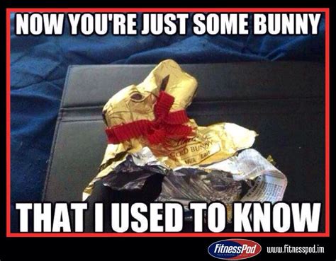 Now Youre Just Some Bunny That I Used To Know Easter Funny Happy