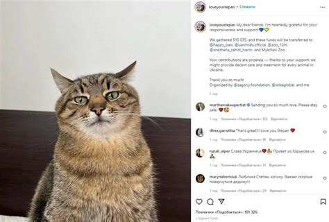 Instagram Star Ukrainian Cat Stepan Raised 10 000 For Other Pets In