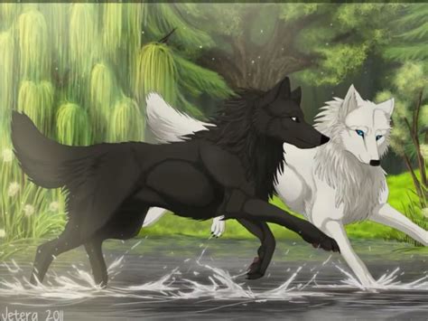 How to draw 3d step by step. #wolfsWolfs | Anime wolf drawing, Cute wolf drawings, Wolf spirit animal